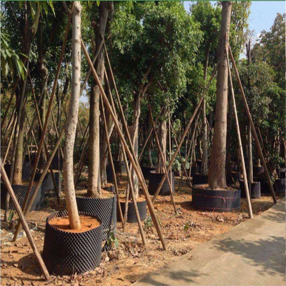 Grow Container Garden Tree Bon - Outdoor Furniture In avis et prix